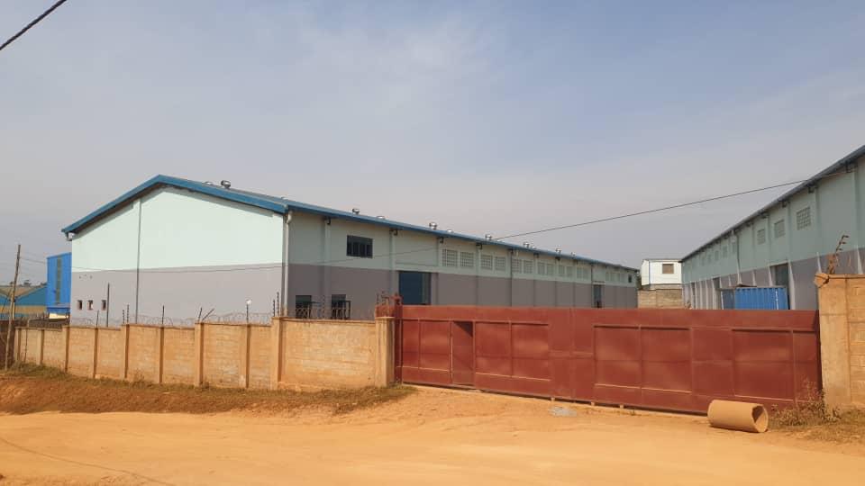 a6e5a9f7ee2443ab8403b4083e798d7d